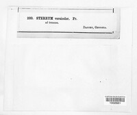 Image Associated With the Occurence